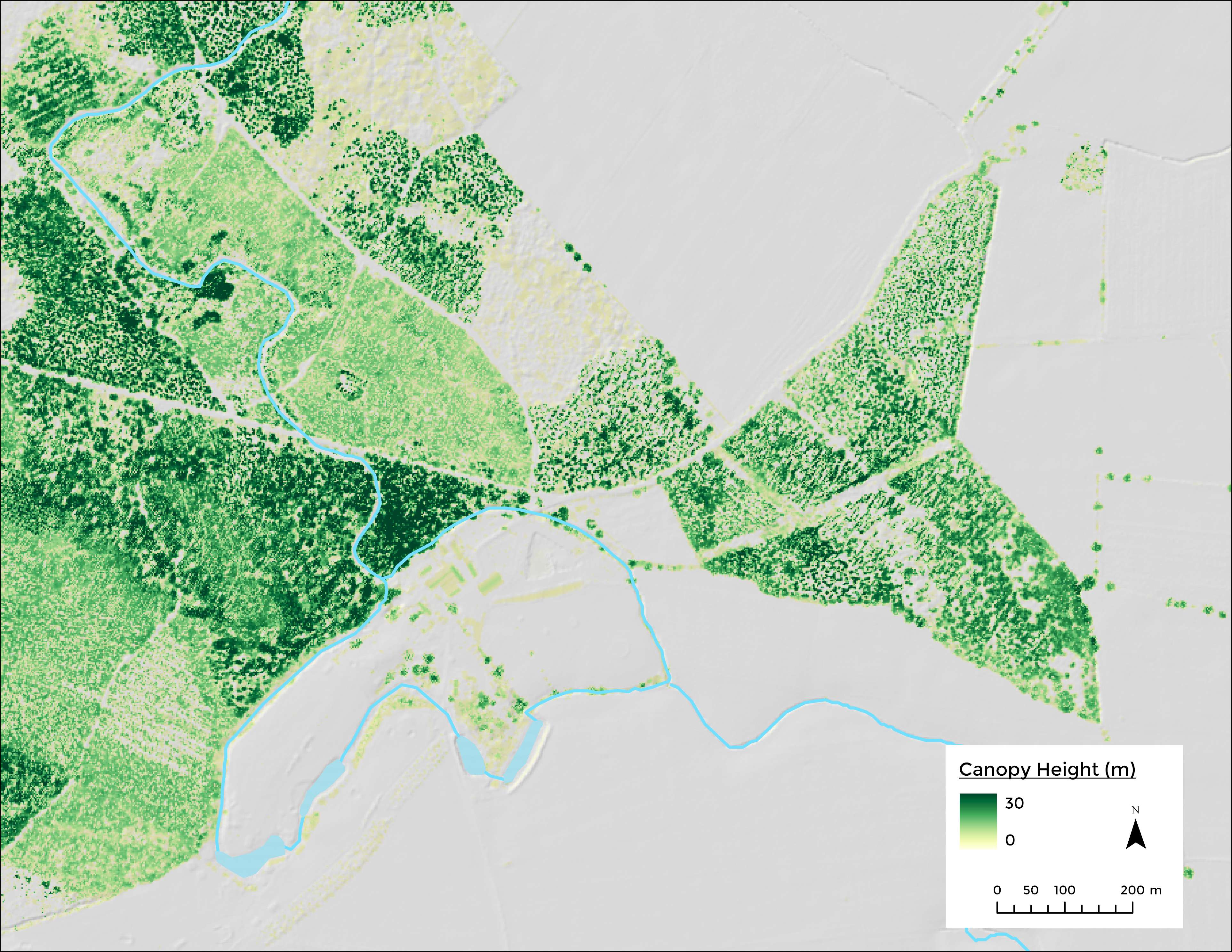 Canopy Height Model, Selby, UK