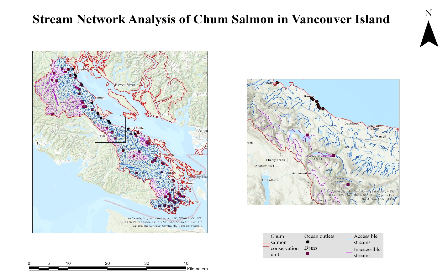 Salmon Stream Network Analysis