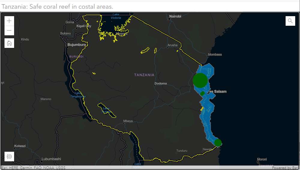 Tanzania coral reef in costal area