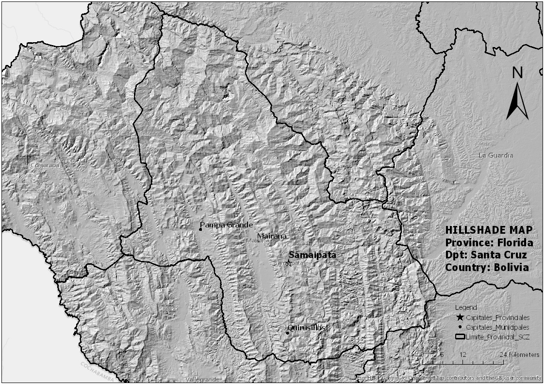 Hillshade Map - Florida, Santa Cruz, Bolivia #30daysMapChallenge #SpatialNode #Day9 #Monochrome