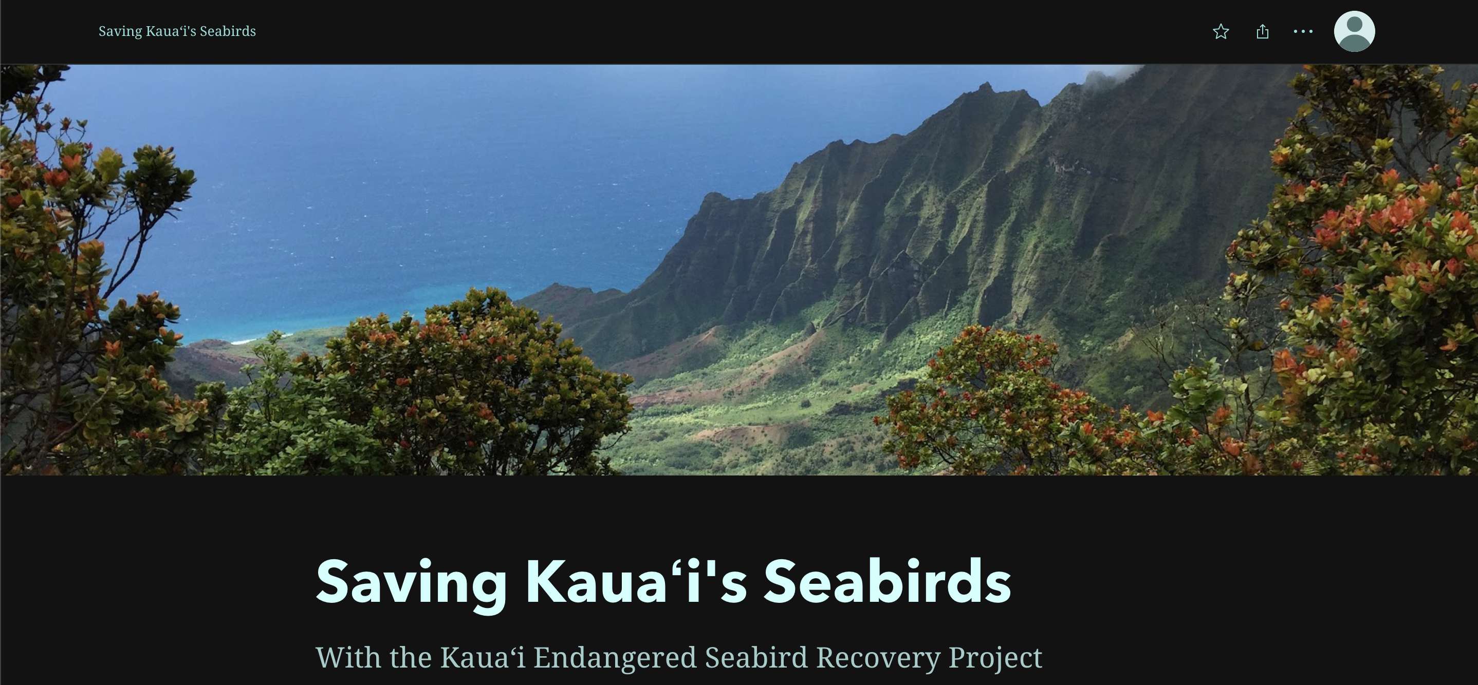 Saving Kauai's Seabirds