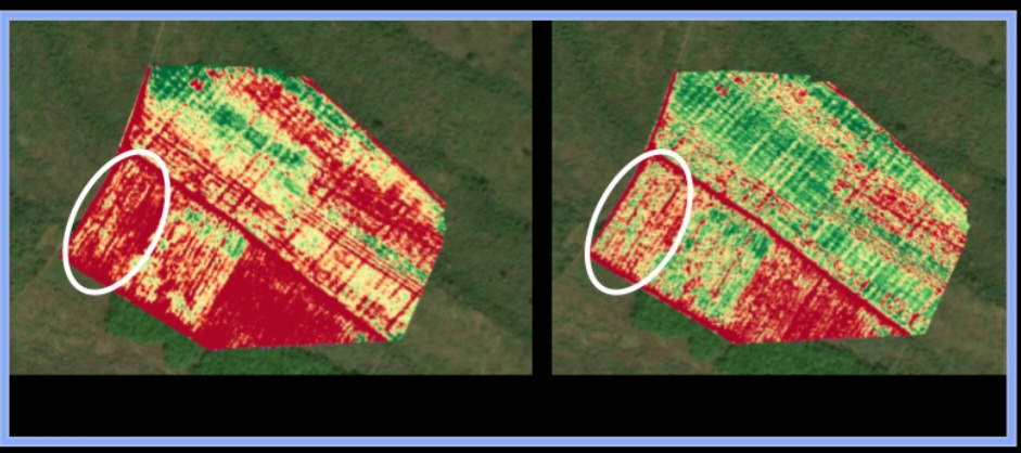 NDRE vs NDVI