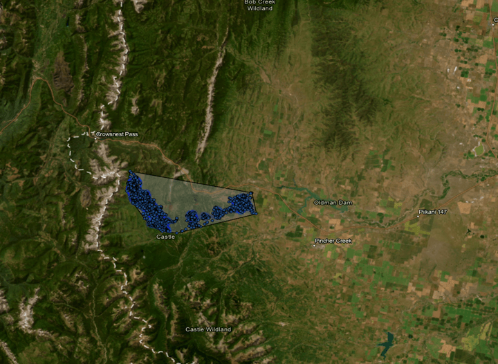 ELK #862’s Home range on the Border of AB & BC