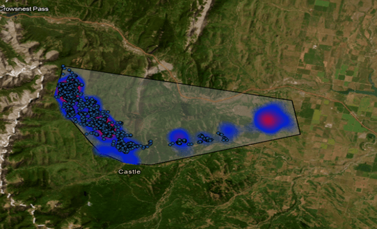 ELK #862’s habitat during Summer