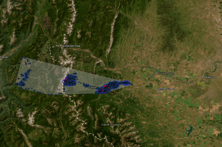 Elk #876 Home Range on the border of AB and BC