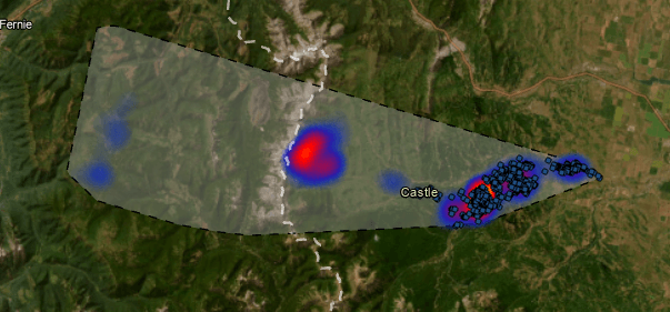 Elk #876 during the Winter (December-April)