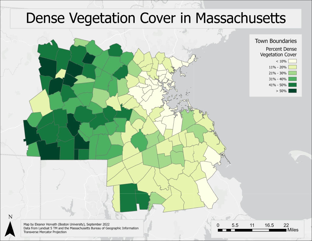 Dense Vegetation Cover in Massachusetts